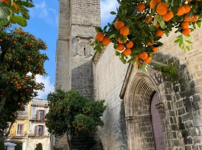Sherryflat San Agustin Lejlighed Jerez de la Frontera