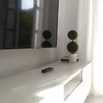 Sherryflat San Agustín